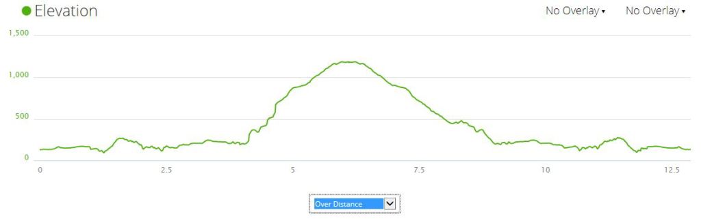 Here is the elevation from our run up this mountain.